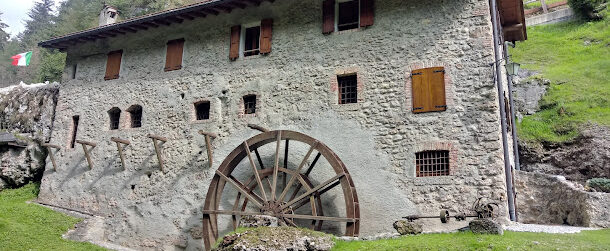 La casa delle farfalle Onore